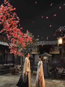 寧徽臨柔