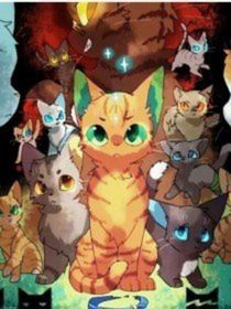 猫武士疯猫手册011