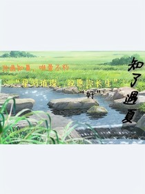 知了遇夏