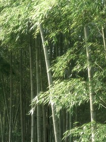 TNT：與你初見(jiàn)時(shí)