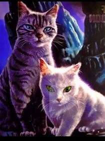猫武士：月半松枝
