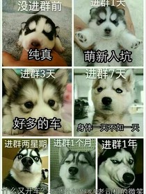 自创小说群（清影工作室）