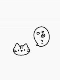 喵小野猫