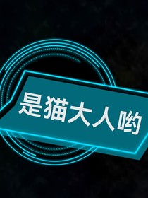 猫咪们占领了我的后院