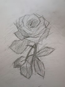 我不会被omega前妻打败