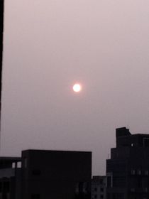 如果是你的话，把花放下就好了啊