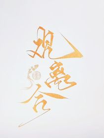 观离合