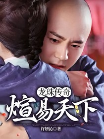 龙珠传奇：煊易天下