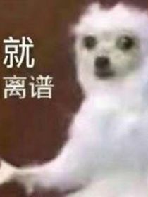 名柯乙女：不当舔狗辣！