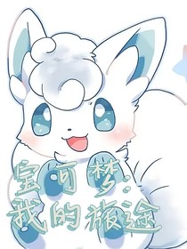 宝可梦之我的旅途