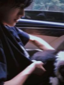 all軒：交換人生