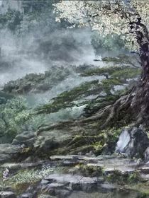魔道之病弱美人又来了