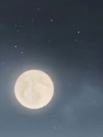 无脑酸