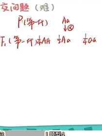 时光不替我