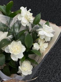 六月栀子花的告白