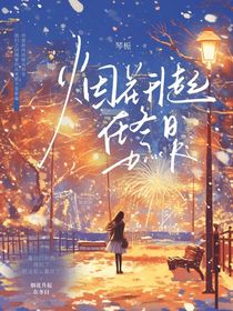 烟花升起在冬日