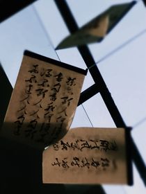 不论时年
