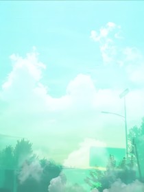 可惜那年是苦夏