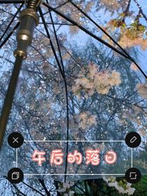 午后的落日