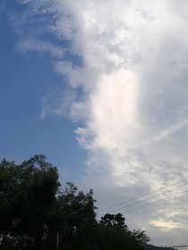 从来一回