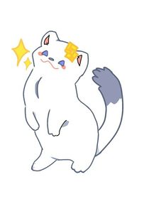 闲聊！关于作者的同人女日常
