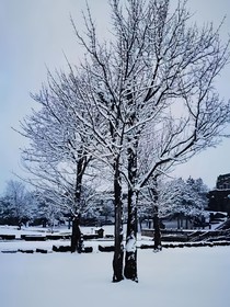 秋雪集（现代诗，古体诗集）