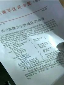 特种兵之火凤凰寸燕
