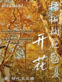 梧桐树在盛夏开花