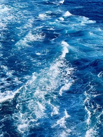 鲸入海鸣