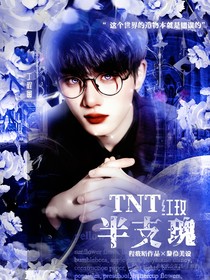 TNT：半支红玫瑰