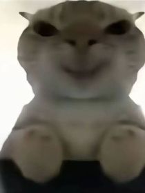 介绍信