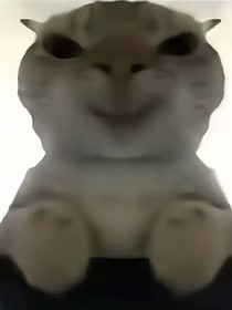 我在看着你，一直在看着你