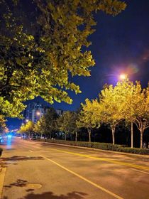 盛夏的夜色