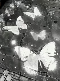 她在等他，他在念她