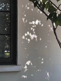 重生之推翻白月光