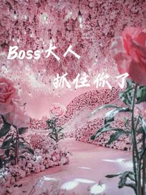 Boss大人抓住你了