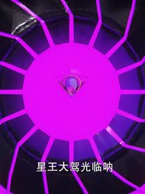 神兽金刚第三季林聪的命运