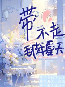 带不走，那年夏天