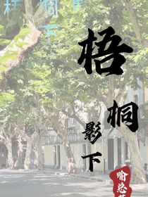 梧桐影下