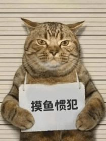 个性签名字