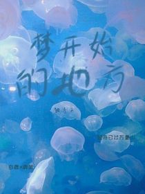 梦已经开始了
