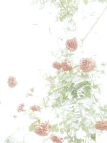 ch一點随笔