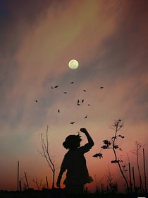 侯鸟难飞