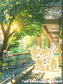 事屿愿违