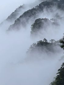 南山意