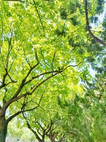 陈奕恒：双向暗恋