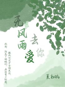 无畏风雨去爱你