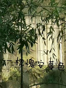 一枕槐安暮色