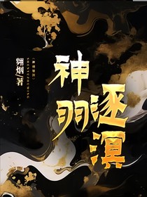 混沌：神羽逐溟