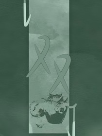 雙—染